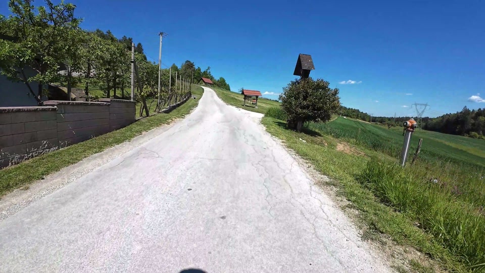 vransko parizlje 09