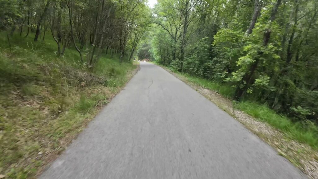 parenzana milje koper 022