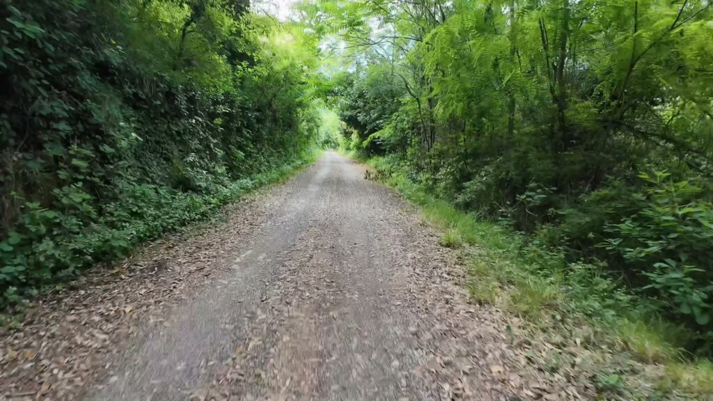 country road1 004