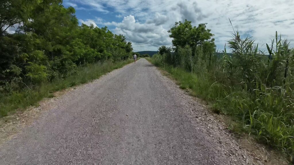 lucija secovlje 009