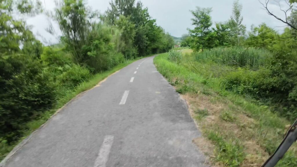 secovlje mp milje 063