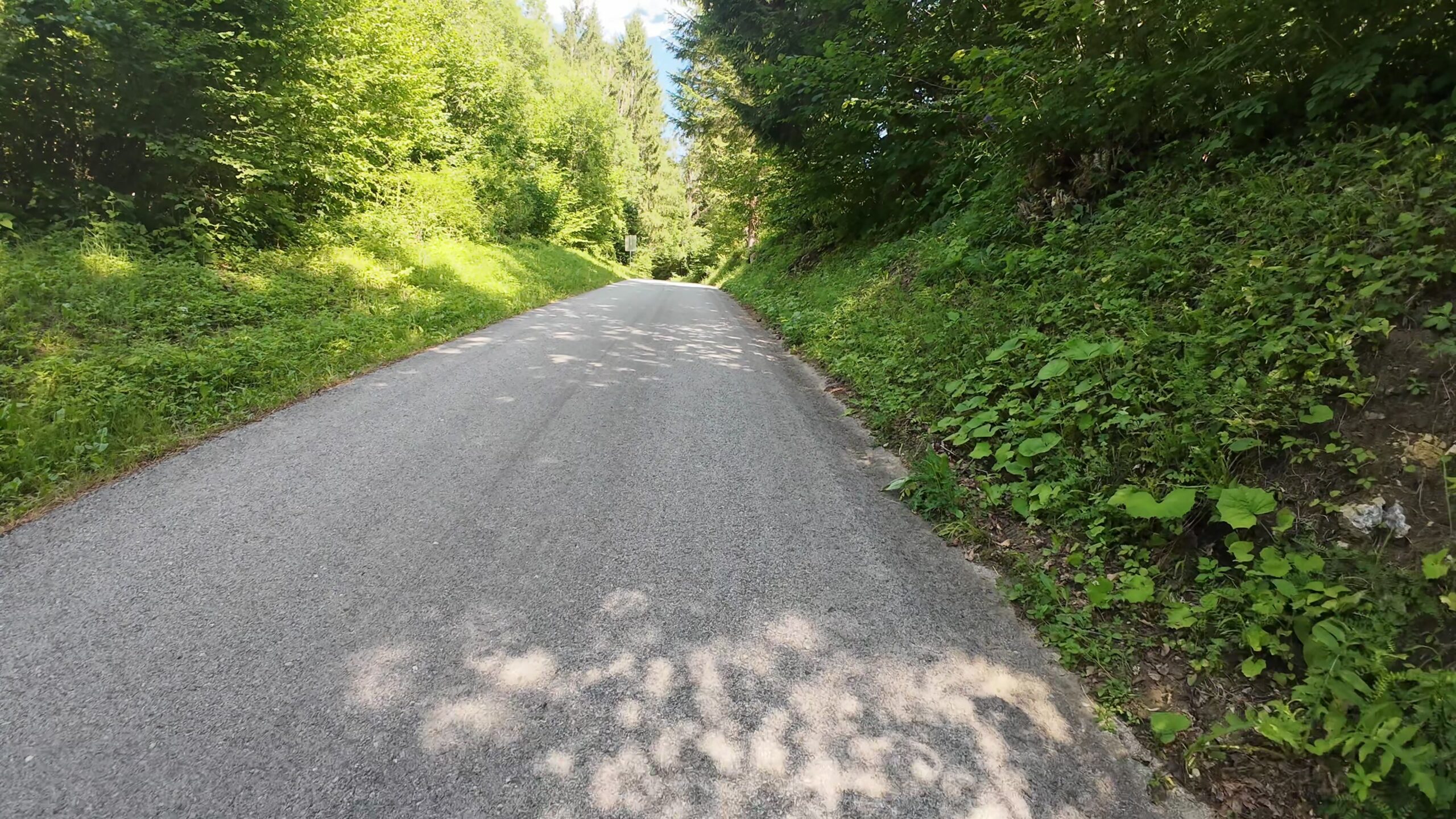 CH0051 mojstrana jesenice 006