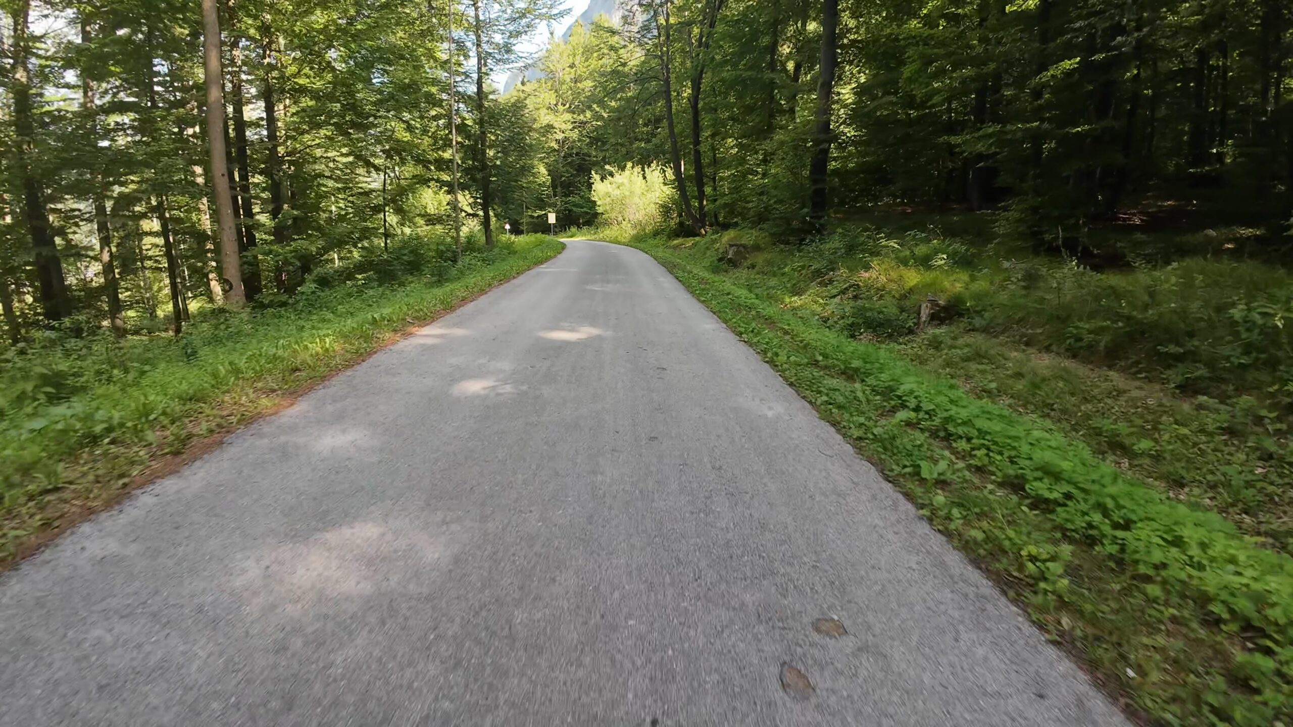 CH0051 mojstrana jesenice 009