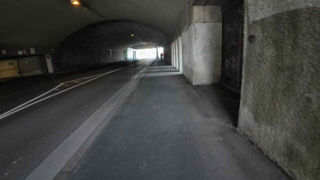 CH0067 Schlogen Linz 114