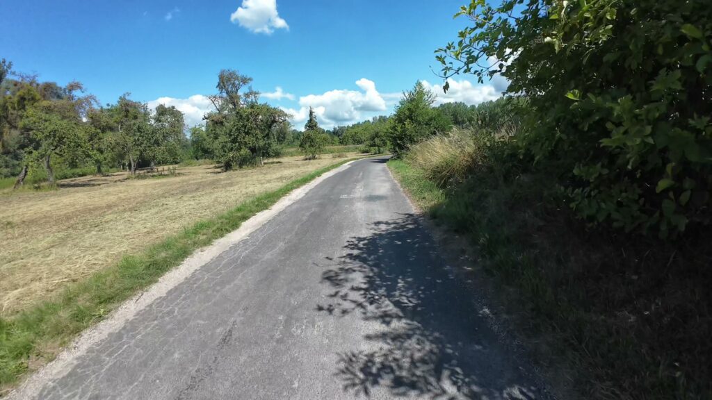 CH0069 007