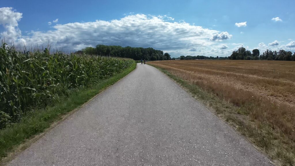 CH0069 008