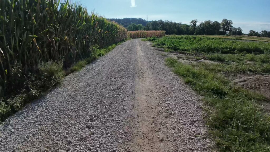 CH0094 008