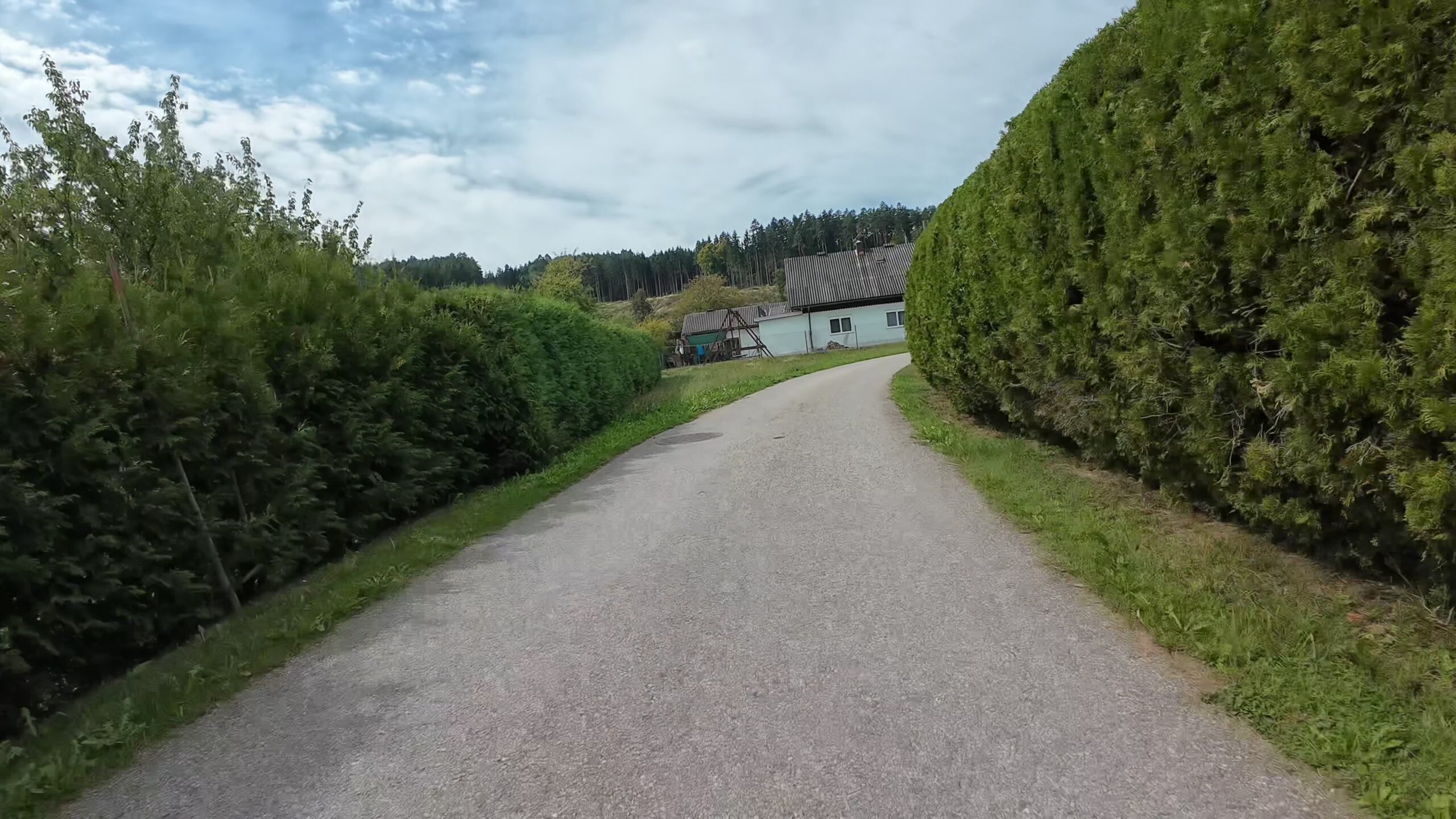 CH0100 0019