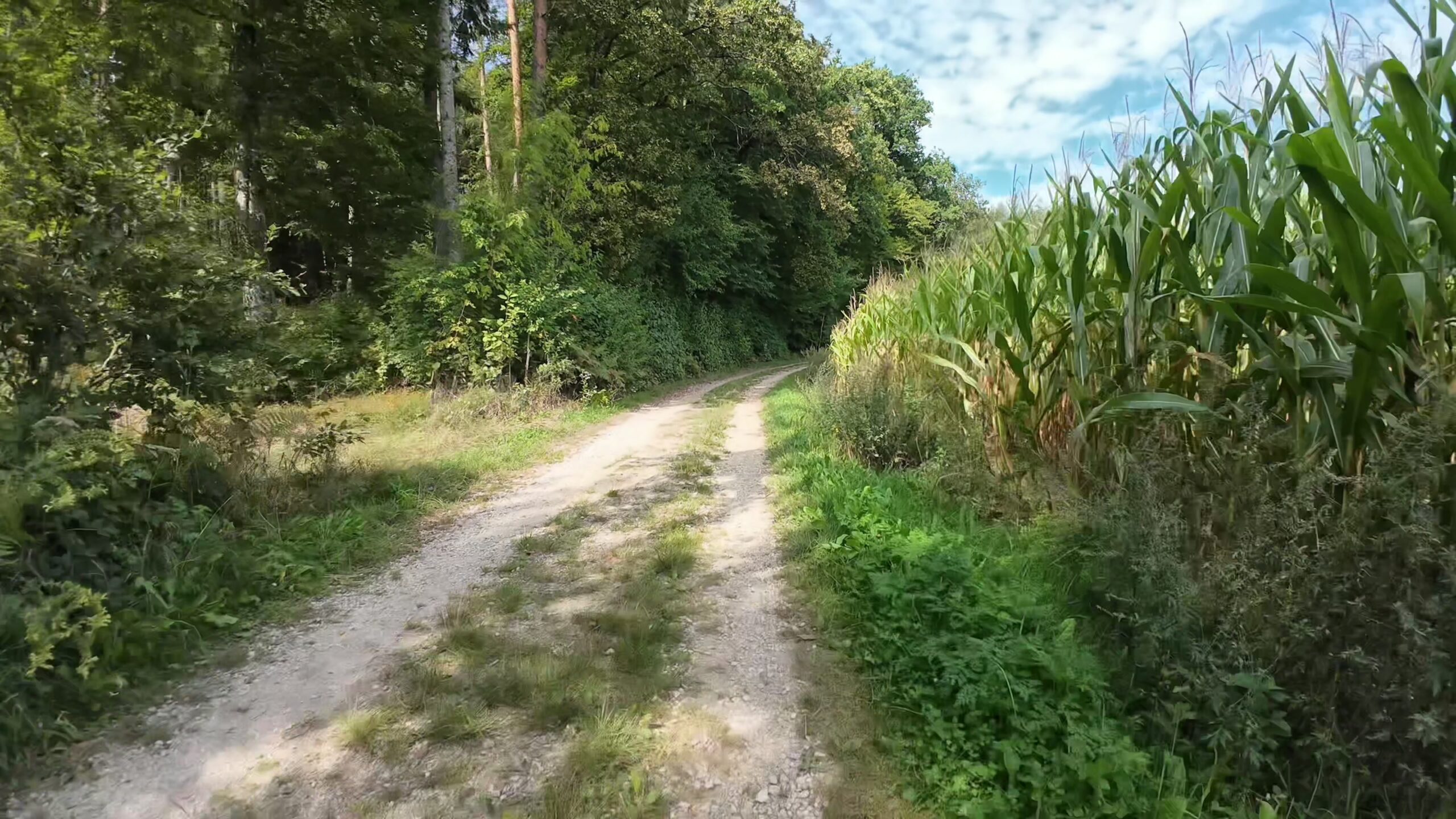 CH0100 0051