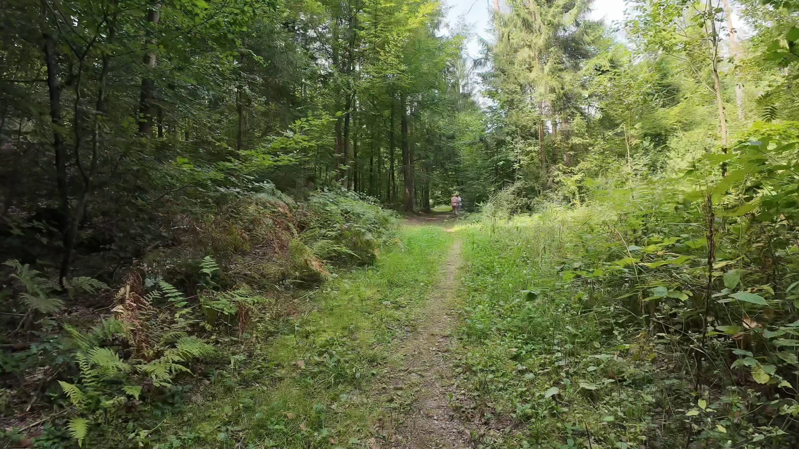 CH0100 0056