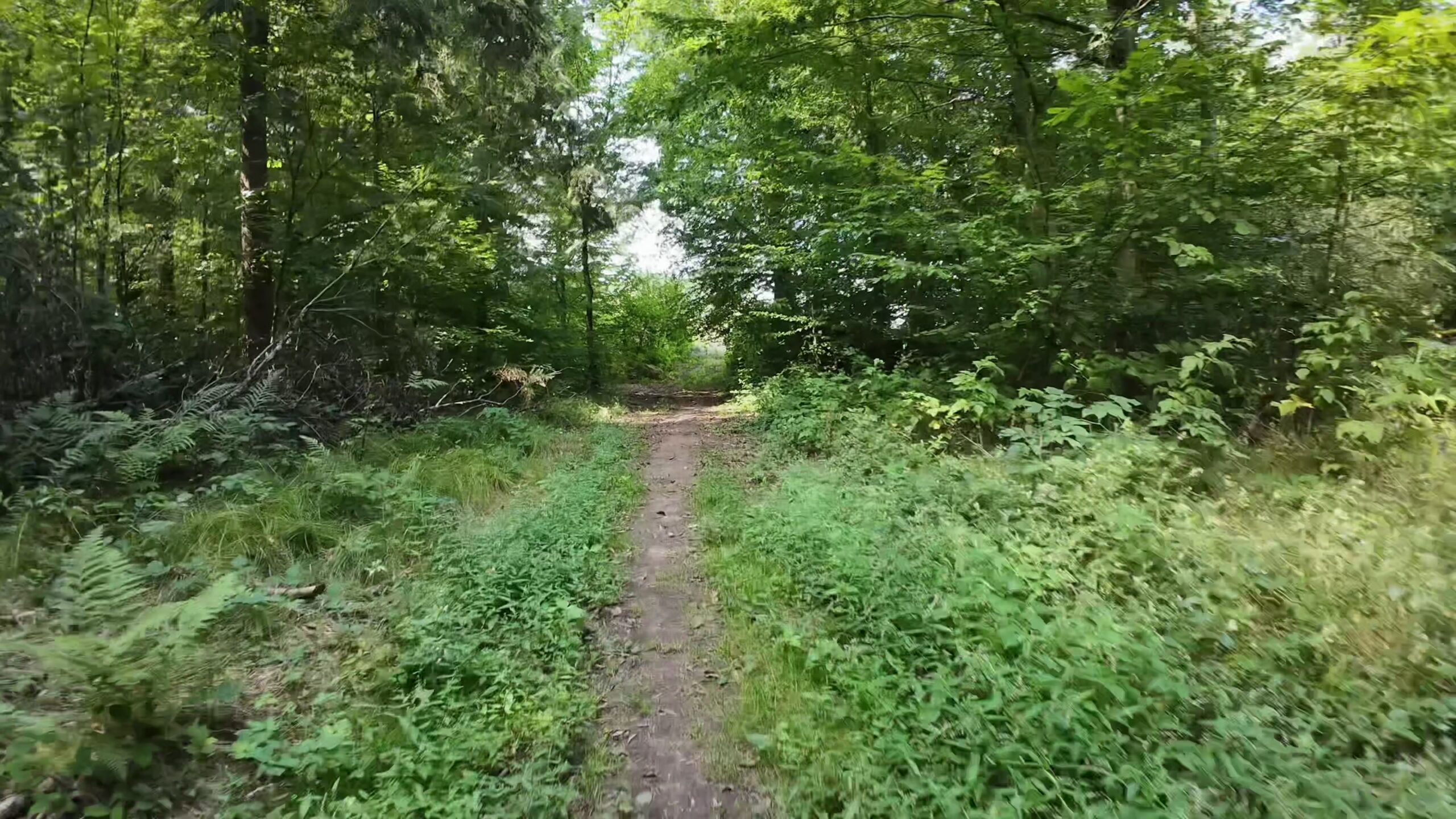 CH0100 0057